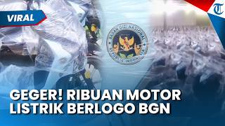 Viral Ribuan Motor Listrik Berlogo BGN Diduga untuk MBG, Anggaran Rp1,2 Triliun Jadi Sorotan