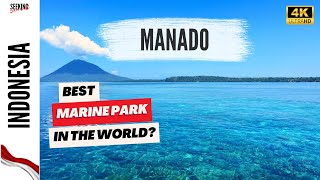 Download lagu 🇮🇩 TOP 8 THINGS TO DO IN MANADO INDONESIA, BUNAKEN MARINE PARK AND MORE 🤿 🌊🏝🐠🐒🌋🌆 mp3