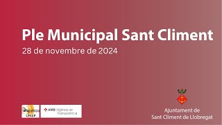 Ple ordinari, dijous 28 de novembre de 2024