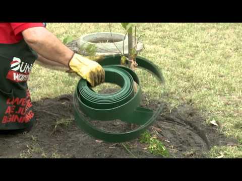 How To Install Garden Edging Around A Tree - DIY At Bunnings