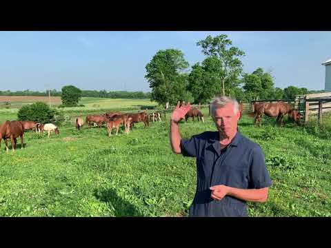 The complexity of resistance genetics