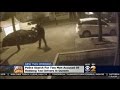 Queens Taxi Robberies