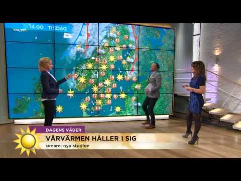 Meteorologen: Värmen håller i sig - Nyhetsmorgon (TV4)