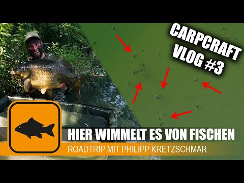 Unfassbare Aufnahmen beim Karpfenangeln 😱 Carpcraft VLOG #3