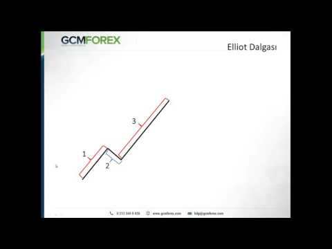 Elliot dalga teorisi forex