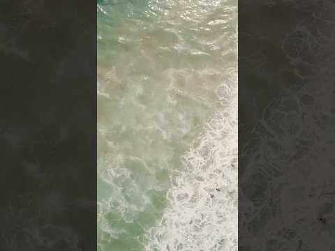 Some popular hashtags associated with Earth Day are #EarthDay, #ClimateAction, #Sustainability