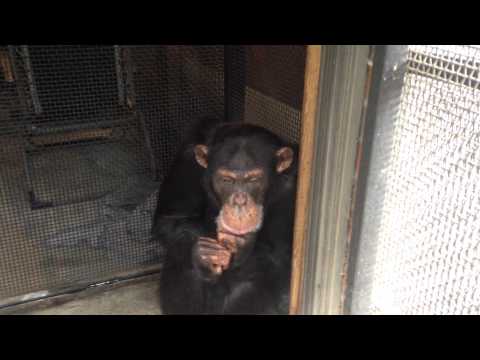 Bow decides not to go out