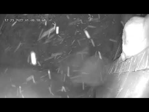 Snow Storm Southern Quebec 12-22-2022