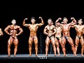 제100회 전국체전 보디빌딩 라이트미들급 풀영상 [Light Middle weight Championship]