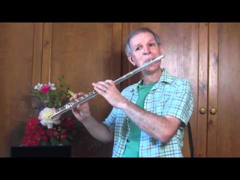 Yamaha YFL 221 Silver Plated Flute - March of the Toys from The Nutcracker Suite