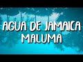 Maluma - Agua de Jamaica (Letra/Lyrics) Maluma - Agua de Jamaica (Letra/Lyrics)