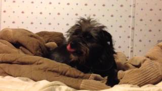 What's Inside The Box Wendy?