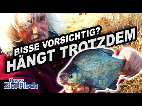 SCHEUE FISCHE FANGEN? GEHEIMTIPP 'Slow Sinker' - Unser Ziel ist Fisch - Angelschule mit Jörg Ovens