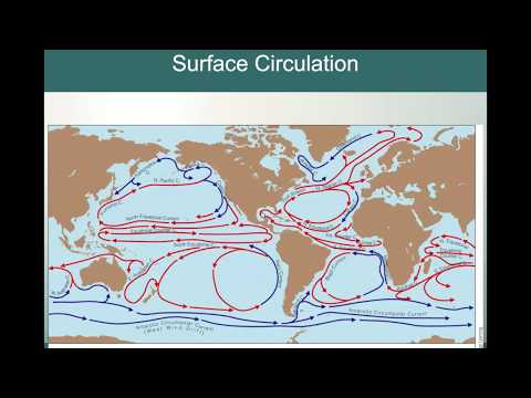 Subtropical Gyres: Western and Eastern Boundary Currents