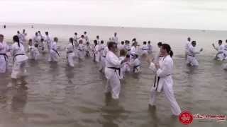 preview picture of video 'Grand Beach Training & Family Picnic July, 2014'