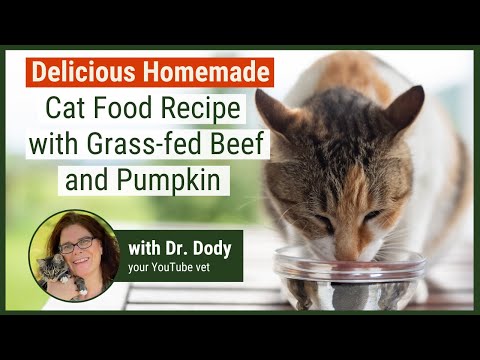 Homemade Cat Food Recipe in just 15 minutes!