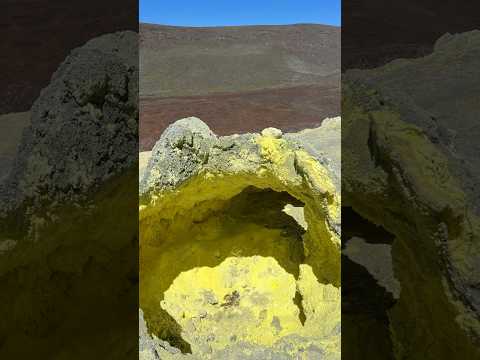 Minas de azufre -Isabella Galapagos #volcano #hiking #travel