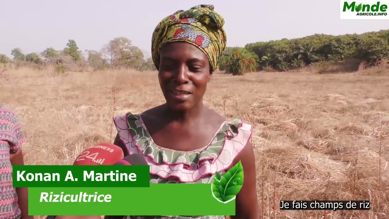 DIABO, LE CRI DE COEUR DES RIZICULTRICES