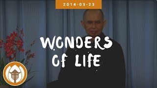Download lagu Wonders of Life | Dharma Talk by Thich Nhat Hanh, 2014.03.23 mp3