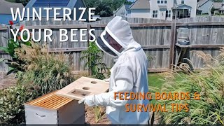 The Feeding Board Every Beekeeper Is Missing