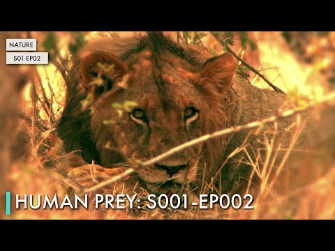 Human Prey: S01 EP02