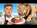 I Cooked For A Lion