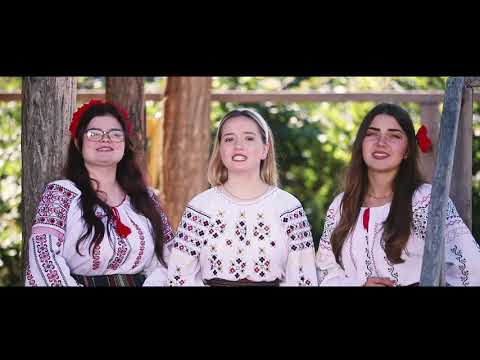Pruteanca - Astăzi beată, mâine beată (Surorile Osoianu)