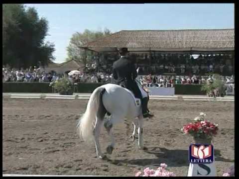 Rafael Soto y Flamenco XX Pineda, 1995