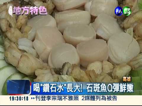 喝"鑽石水"長大! 石斑魚Q彈鮮嫩