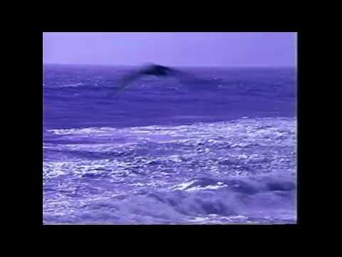 moodtapes   tranquility   1986 full vhs