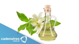 ¿Cuáles son los beneficios de la esencia del jazmín / Tips espirituales