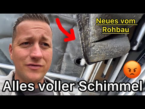 Annoying surprise 🤯 Camping gear moldy & no desire to deal with the construction site #renovation