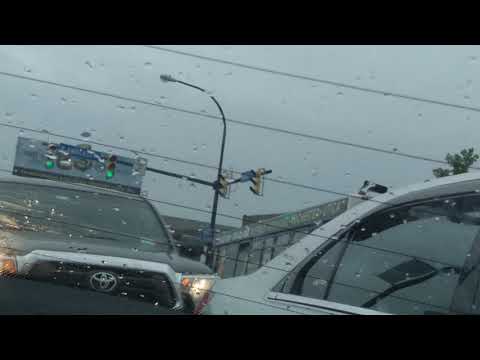 NFTA METRO Bus Galore