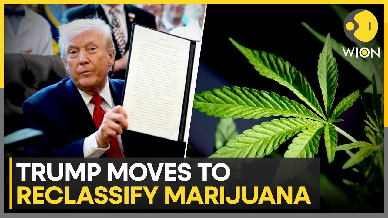 Trump Expands Access to Cannabis in a Major Shift in Drug Policy | WION