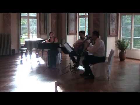 SaitenWind Trio - P. I. Tschaikowski, "Die Jahreszeiten"