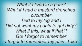 Incubus - Take Me To Your Leader Lyrics