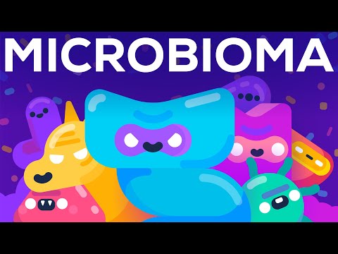 Como as bactérias dominam o nosso corpo – O microbioma