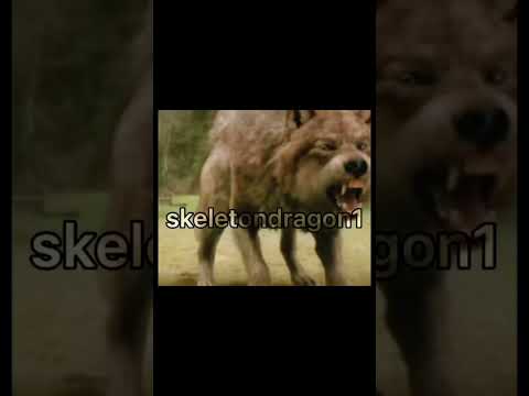 Twilight Saga Edit [13-7-2022]