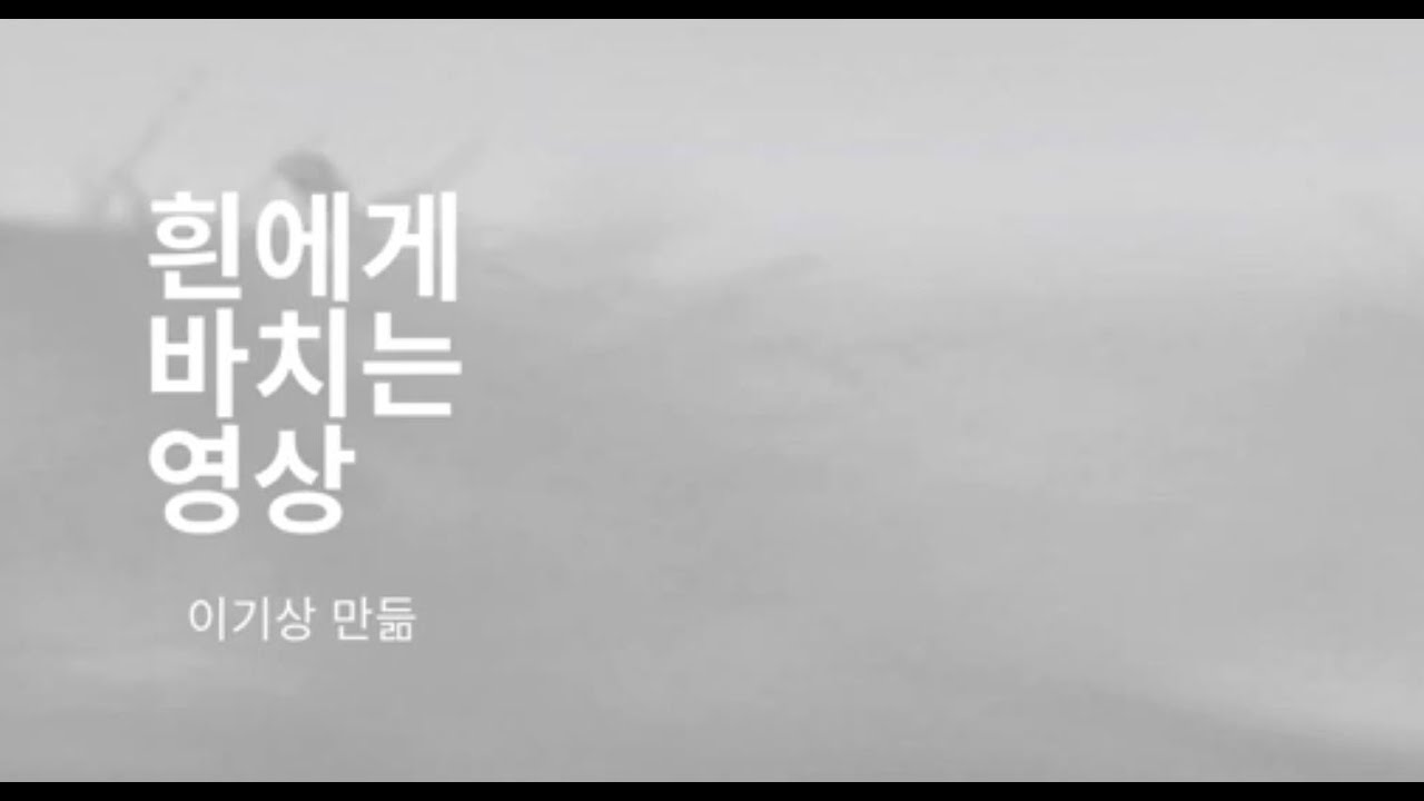 한강 소설’흰’에게 바치는영상