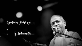 Download lagu Ilaiyaraja💕Poomalaiye Thol serava Song Tamil lyrics Status|Pagal Nilavu|Murali mp3 Download lagu Ilaiyaraja💕Poomalaiye Thol serava Song Tamil lyrics Status|Pagal Nilavu|Murali mp3