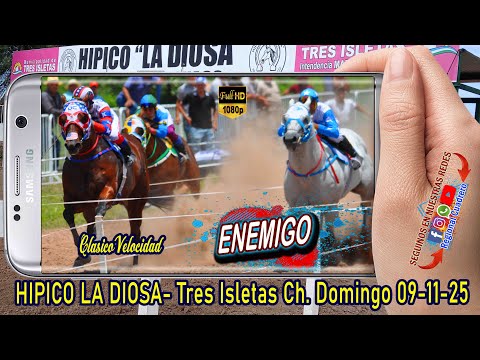 ENEMIGO-Clasico Velocidad- Hipico la Diosa- Tres isletas Ch. 09.11.25