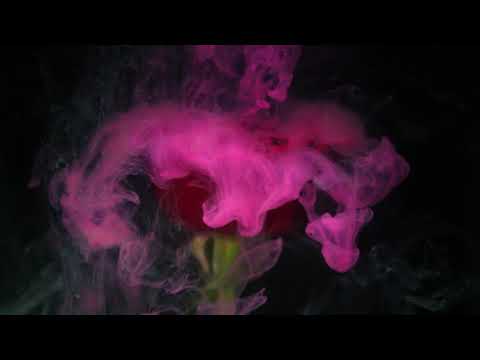 Starzgrey - Gone (Official Visualizer)