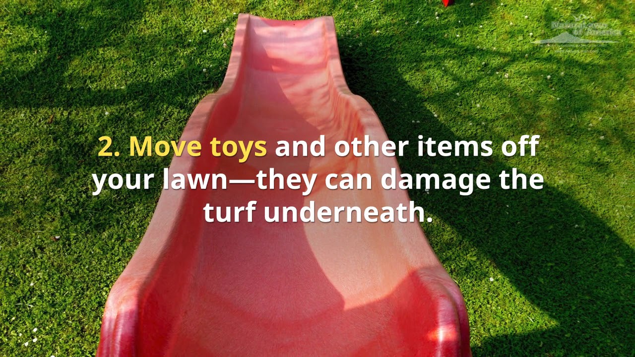 7 Fall Lawn Care Tips