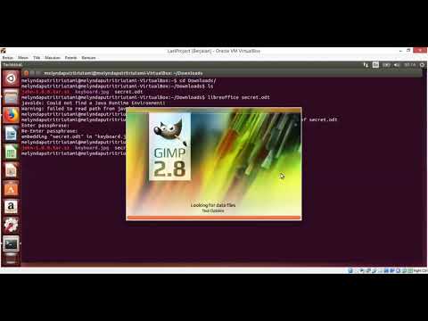 4.3.2.3 Lab - Using Steganography PROYEK AKHIR ADMINISTRASI SISTEM FTI-UY