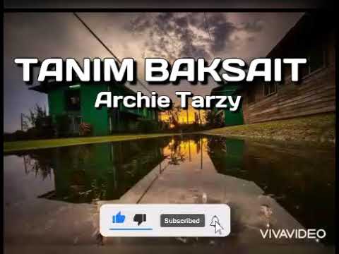 Archie Tarzy "Tanim Baksait" LYRICS (PNG music 2021)