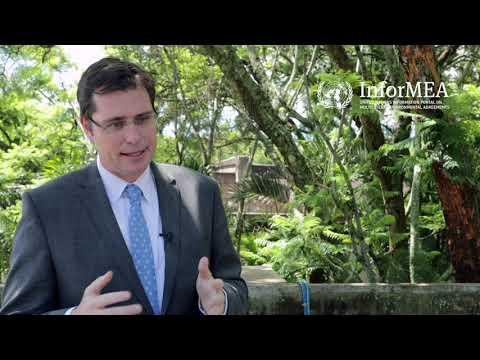 General Principles of Environmental Law