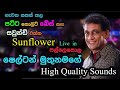 Shelton Muthunamage With Sunflowers Pallepola Re Created Superb Sounds