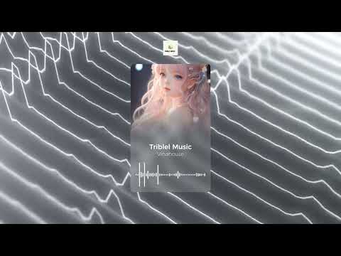 VINAHOUSE 👽 Suntan - 2022 - BSmall Ft LIN.V - Remix - Full Untitled Project