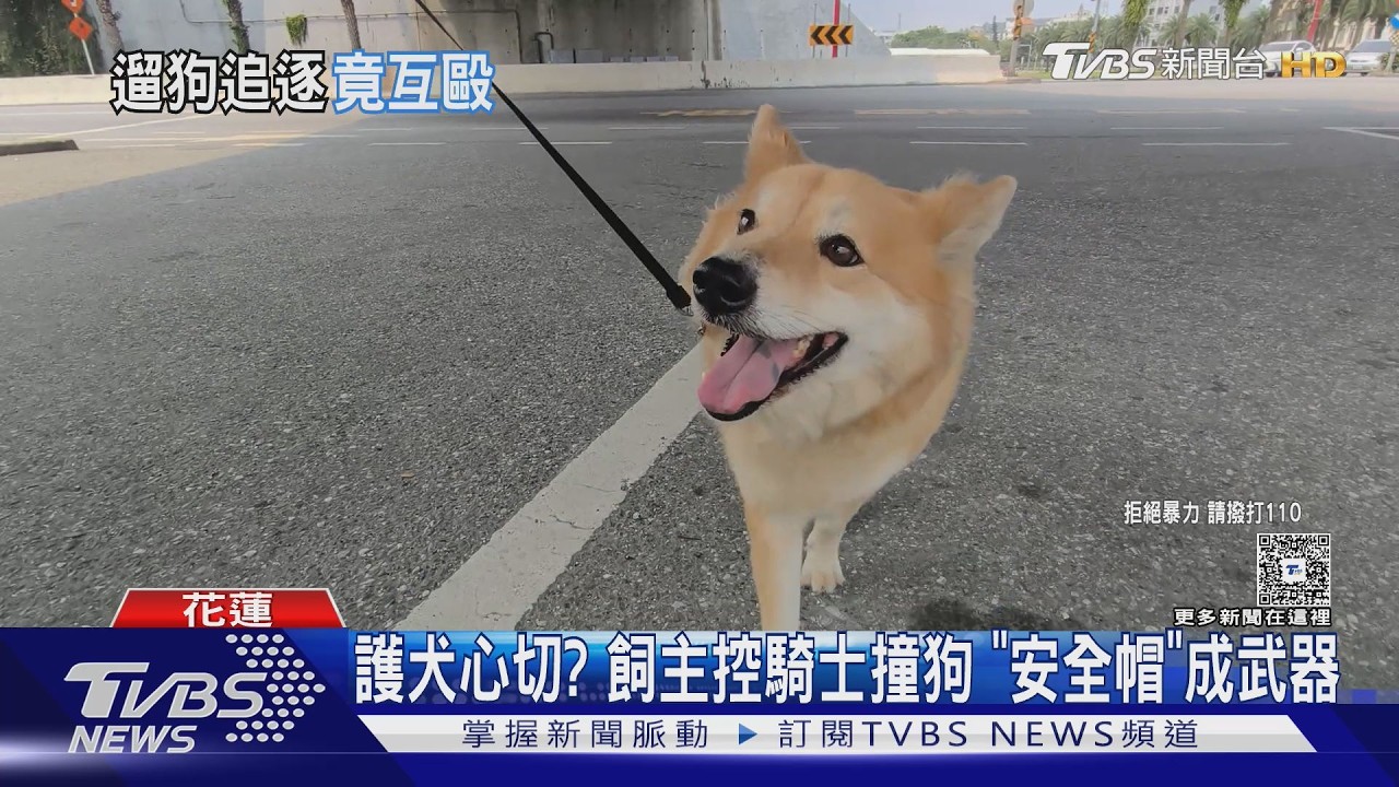 花蓮飼主護狗心切!誤會對方追撞愛犬 「安全帽狂砸頭」遭送辦