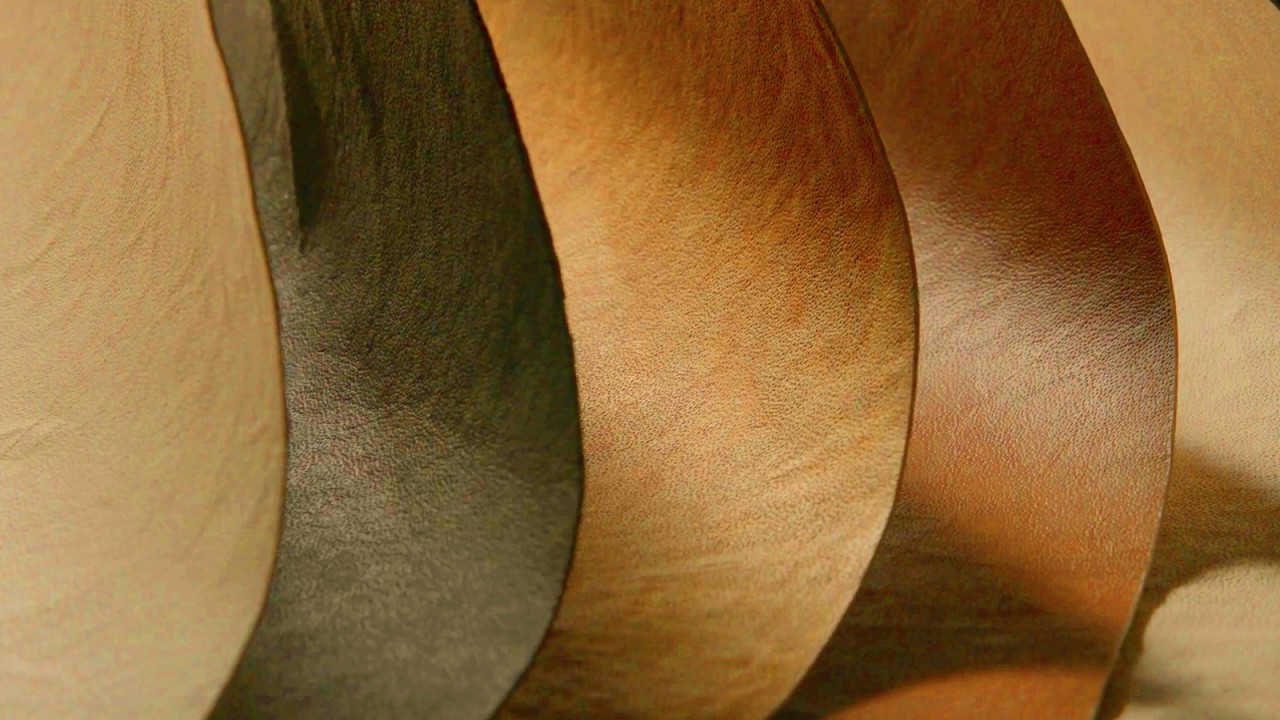 Reishi™ Mycelial Finish